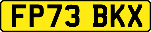 FP73BKX