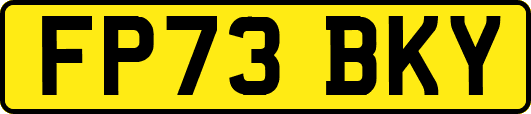 FP73BKY