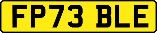 FP73BLE
