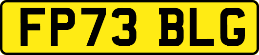 FP73BLG