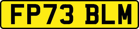 FP73BLM