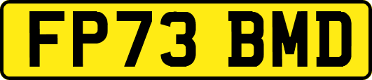FP73BMD