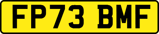 FP73BMF