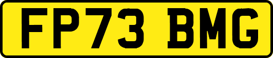 FP73BMG