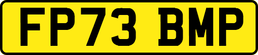 FP73BMP