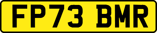 FP73BMR