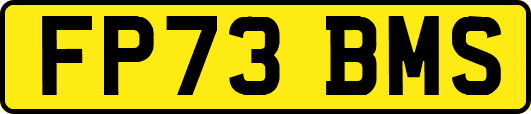 FP73BMS