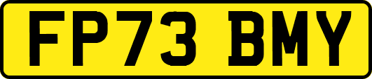 FP73BMY