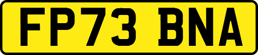 FP73BNA
