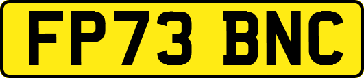 FP73BNC