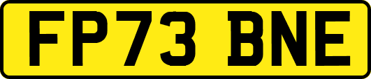 FP73BNE