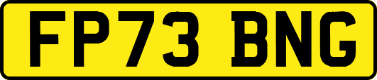 FP73BNG