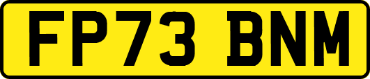 FP73BNM