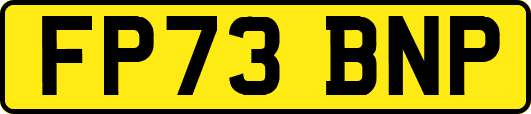 FP73BNP