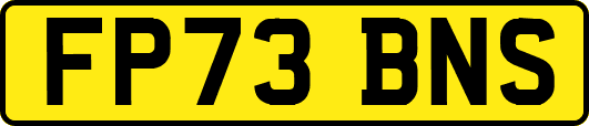 FP73BNS