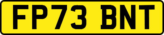 FP73BNT