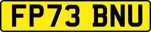 FP73BNU