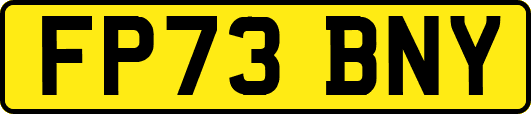 FP73BNY