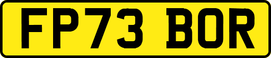 FP73BOR