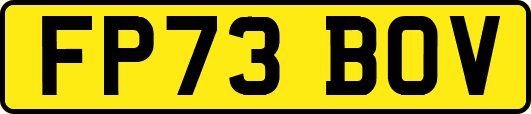 FP73BOV