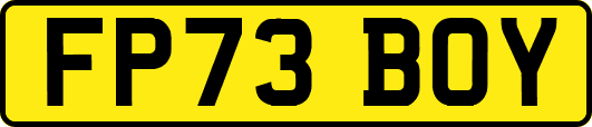 FP73BOY