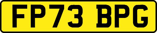 FP73BPG