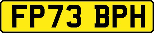 FP73BPH
