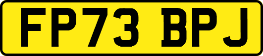 FP73BPJ