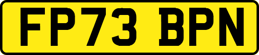 FP73BPN