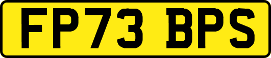 FP73BPS