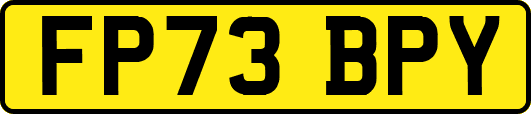 FP73BPY