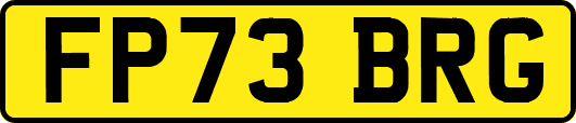 FP73BRG