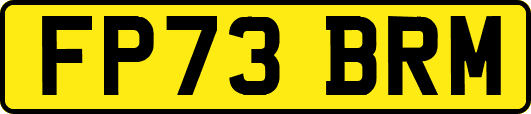 FP73BRM