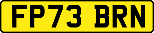 FP73BRN