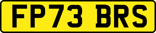 FP73BRS