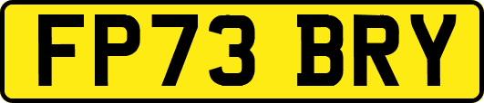 FP73BRY