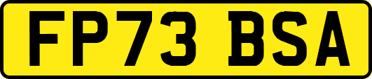 FP73BSA