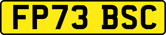 FP73BSC