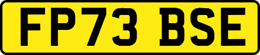 FP73BSE