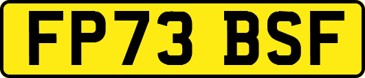 FP73BSF