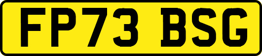 FP73BSG
