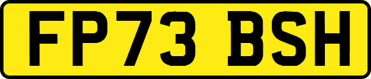 FP73BSH