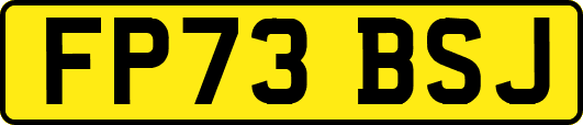 FP73BSJ
