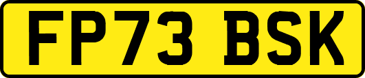 FP73BSK