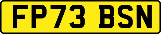 FP73BSN