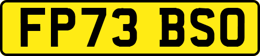 FP73BSO