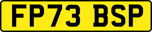FP73BSP