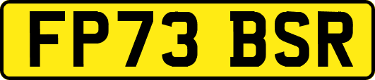 FP73BSR
