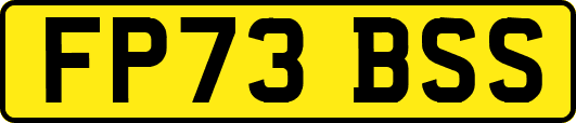 FP73BSS