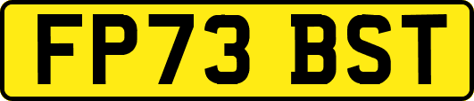 FP73BST